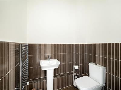 Picture 15